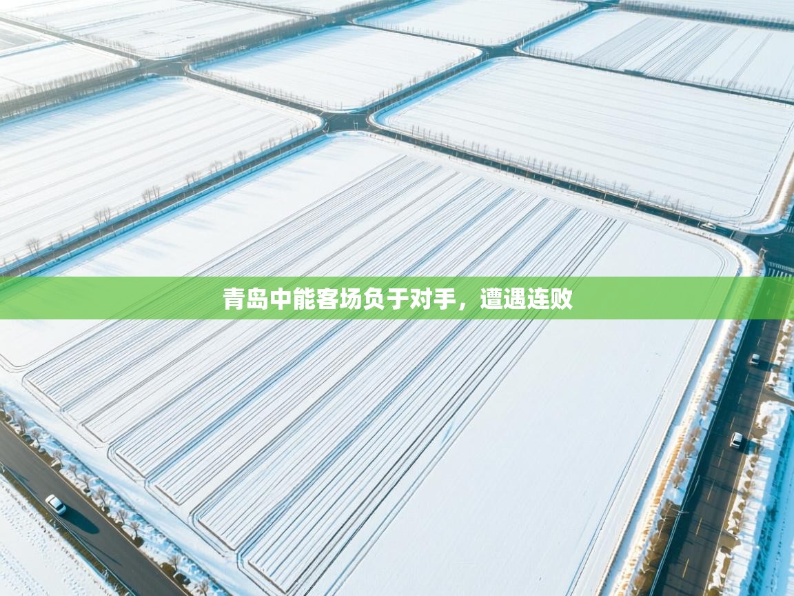 青岛中能客场负于对手，遭遇连败  第1张